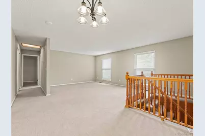 9966 Elizabeth Street, Thornton, CO 80229 - Photo 8