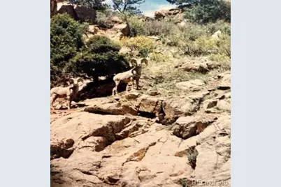 3005 N County Road 29, Loveland, CO 80538 - Photo 22