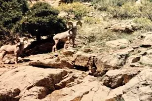 3005 N Co Rd 29, Loveland, CO 80538 - Photo 22