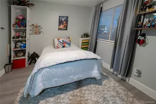 21376 E 40th Pl, Denver, CO 80249 - Photo 10