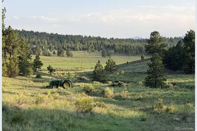 4701 County Road 323, Westcliffe, CO 81252 - Photo 30