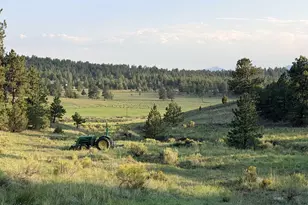 4701 Co Rd 323, Westcliffe, CO 81252 - Photo 30