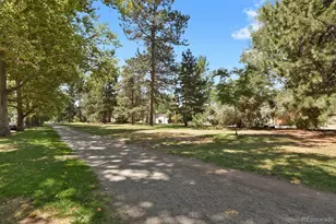 318 S Downing St, Denver, CO 80209 - Photo 42