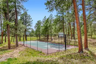 [Address not provided], Black Forest, CO - Photo 42