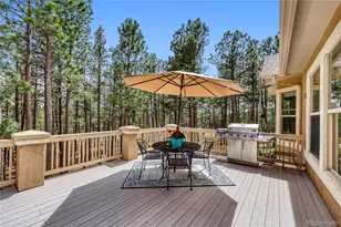 [Address not provided], Black Forest, CO - Photo 12
