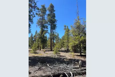 266 Ponderosa Drive, Leadville, CO 80461 - Photo 1