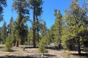 266 Ponderosa Dr, Leadville, CO 80461 - Photo 1