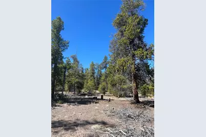 266 Ponderosa Drive, Leadville, CO 80461 - Photo 8