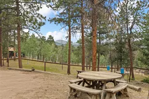 41 Yew Ln, Bailey, CO 80421 - Photo 6