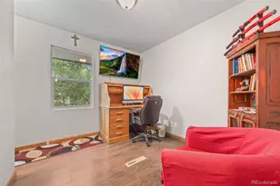 41 Yew Ln, Bailey, CO 80421 - Photo 30