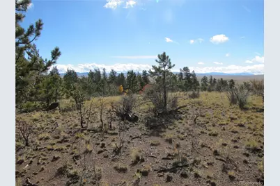 206 Bandolier Court, Hartsel, CO 80449 - Photo 10