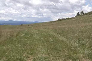 1209 Linecamp Dr, Livermore, CO 80536 - Photo 38