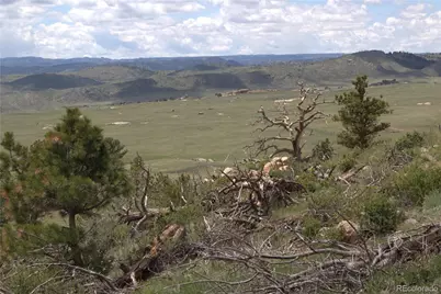 1209 Linecamp Drive, Livermore, CO 80536 - Photo 22