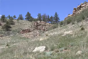 1209 Linecamp Dr, Livermore, CO 80536 - Photo 40