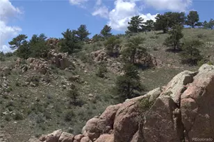 1209 Linecamp Dr, Livermore, CO 80536 - Photo 34