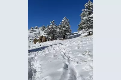 1209 Linecamp Drive, Livermore, CO 80536 - Photo 6