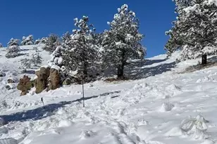 1209 Linecamp Dr, Livermore, CO 80536 - Photo 6