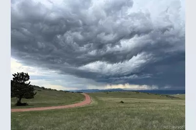 1209 Linecamp Drive, Livermore, CO 80536 - Photo 4