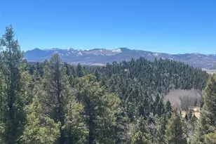 3140 Schierl Rd, Fort Garland, CO 81133 - Photo 4