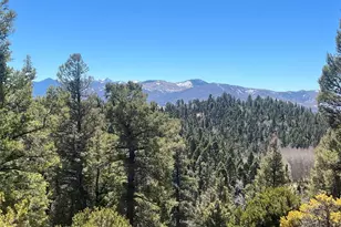 3140 Schierl Rd, Fort Garland, CO 81133 - Photo 6