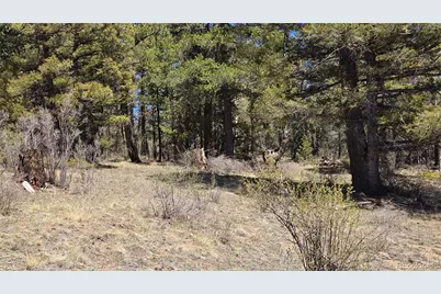 Lots 5817 & 5818 Balleroy & Covington Road, Fort Garland, CO 81133 - Photo 14