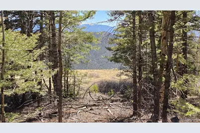 Lots 5817 & 5818 Balleroy & Covington Road, Fort Garland, CO 81133 - Photo 26