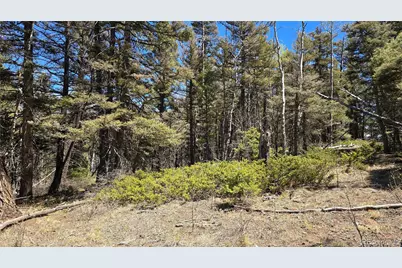 Lots 5817 & 5818 Balleroy & Covington Road, Fort Garland, CO 81133 - Photo 24