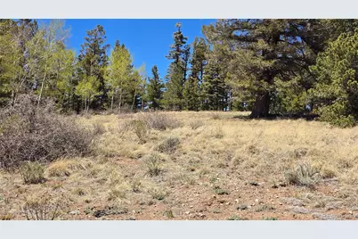 Lots 5817 & 5818 Balleroy & Covington Road, Fort Garland, CO 81133 - Photo 36