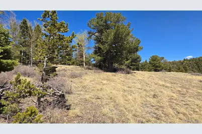 Lots 5817 & 5818 Balleroy & Covington Road, Fort Garland, CO 81133 - Photo 28