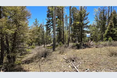 Lots 5817 & 5818 Balleroy & Covington Road, Fort Garland, CO 81133 - Photo 22