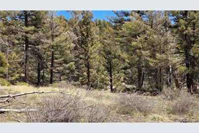 Lots 5817 & 5818 Balleroy & Covington Road, Fort Garland, CO 81133 - Photo 18