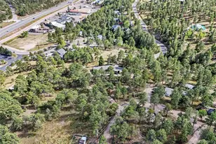 3942 S Palo Verde Rd, Evergreen, CO 80439 - Photo 8