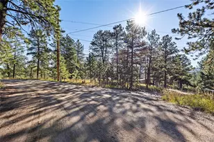 3942 S Palo Verde Rd, Evergreen, CO 80439 - Photo 12