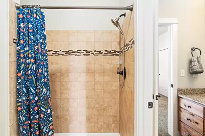 244 Mt Harvard Avenue, Severance, CO 80550 - Photo 22