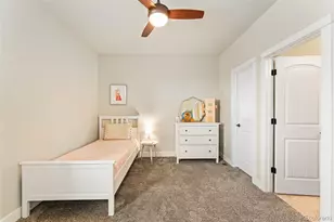 244 Mount Harvard Ave, Severance, CO 80550 - Photo 20