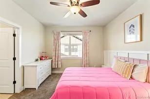 244 Mount Harvard Ave, Severance, CO 80550 - Photo 24