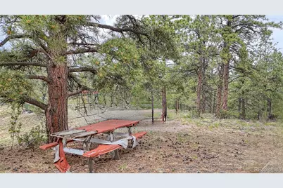 44 Honeysuckle Terrace, Westcliffe, CO 81252 - Photo 10