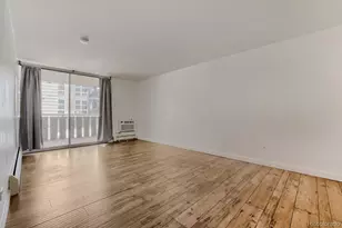 1111 N Ash Street, Denver, CO 80220 - Photo 10