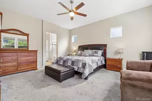 8416 Arapahoe Peak St, Littleton, CO 80125 - Photo 14
