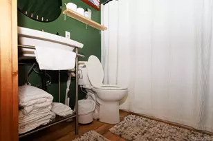 146 W 4th St, Leadville, CO 80461 - Photo 16