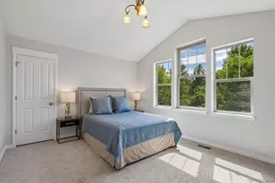 2844 Havana St, Denver, CO 80238 - Photo 20