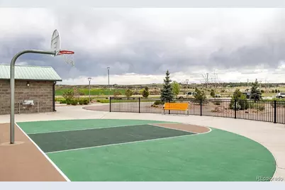 7408 Greenwater Circle, Castle Rock, CO 80108 - Photo 42