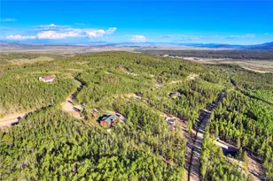 1243 Platte River Dr, Alma, CO 80440 - Photo 46