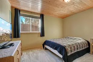 1243 Platte River Dr, Alma, CO 80440 - Photo 42