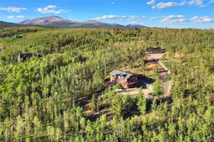 1243 Platte River Dr, Alma, CO 80440 - Photo 48