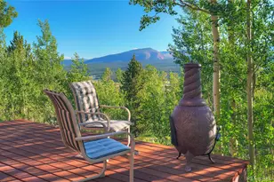 1243 Platte River Dr, Alma, CO 80440 - Photo 22