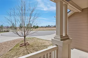 444 High Plains St, Castle Rock, CO 80104 - Photo 46