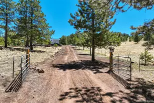 1726 Co Rd 104, Guffey, CO 80820 - Photo 48