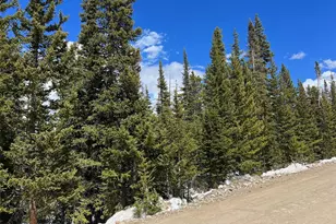 134 El Lobo Ln, Fairplay, CO 80440 - Photo 1