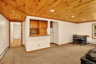 2218 Witter Gulch Rd, Evergreen, CO 80439 - Photo 36